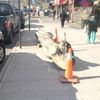 Parks Dept. Slaughters 100+ Inwood Trees... For Public Safety